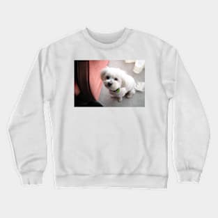 Waiting for Santa... Crewneck Sweatshirt